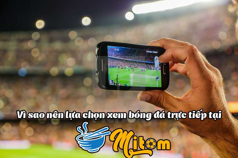 Mitom Live là trang trực tiếp bóng đá uy tín hàng đầu hiện nay