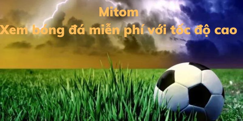 Mitom Live đem đến cho người hâm mộ bóng đá những trải nghiệm đỉnh cao